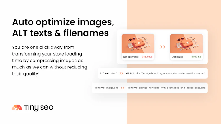 TinySEO image optimization overview